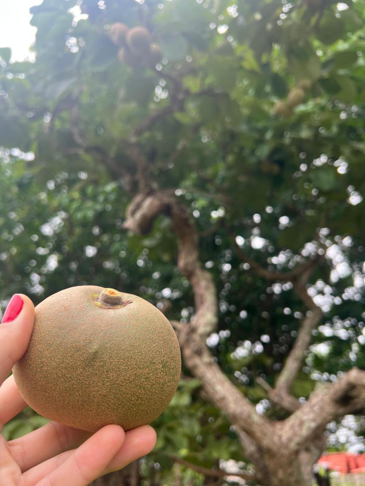 Pousada Ceres 32 Chapada dos Guimarães 외부 사진